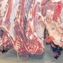 Berrechid, Importante saisie de viande avariée à Berrechid, Libération