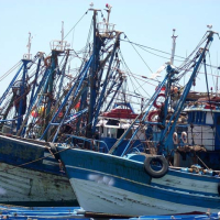 Dakhla, Un bateau de pêche avec à bord 13 marins-pêcheurs porté disparu, MAP, Le Matin